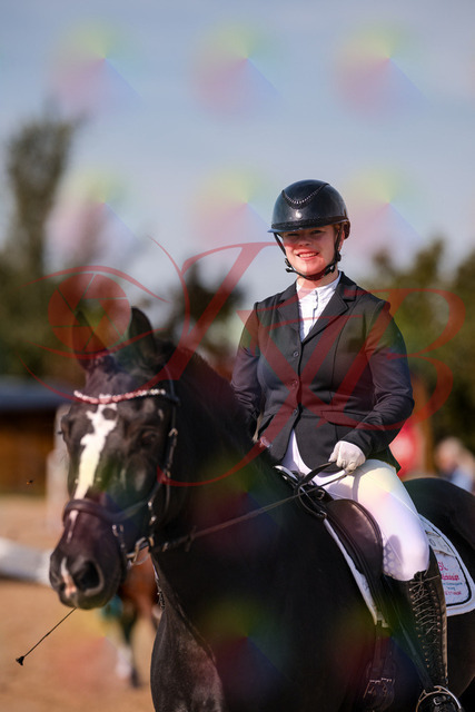 2026_10_03_Siefer-Hof_120513_Z81_06892830 | Professionelle Reitsport-, Turnier- und Eventfotografie von Robert Broda. Galerien mit ausgewählten und bearbeiteten Bildern direkt online ansehen und bestellen.