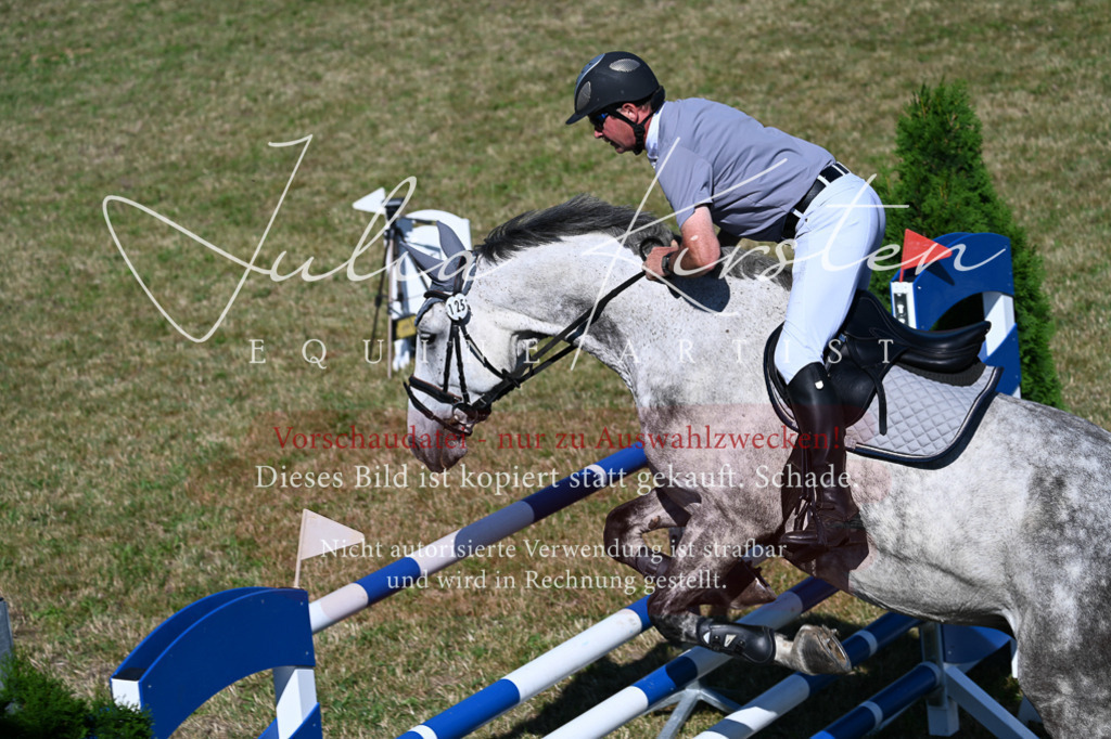 DSC_1965 | Pferde- und Turnierfotografie in Westsachsen. Pferdeportraits, Auftragszeichnungen und intuitive Kunst.