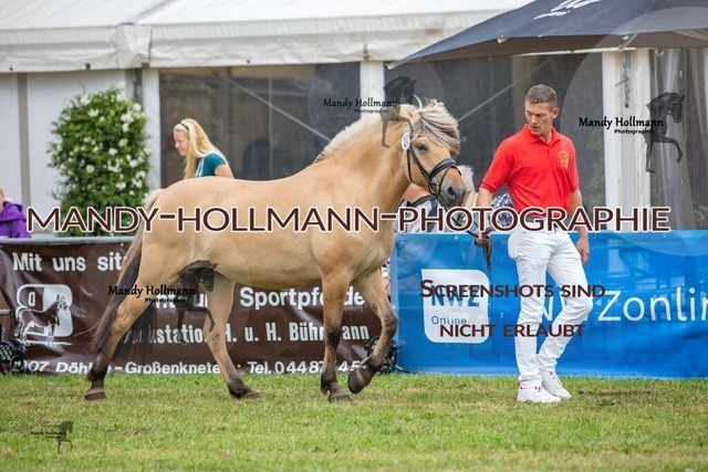 LTN STUTEN (989) | mandyhollmannphotographie