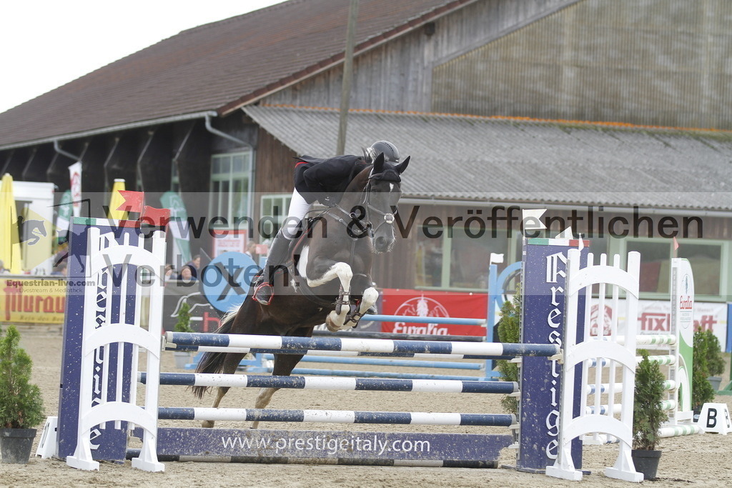 _MG_1967 | equestrian-live-com