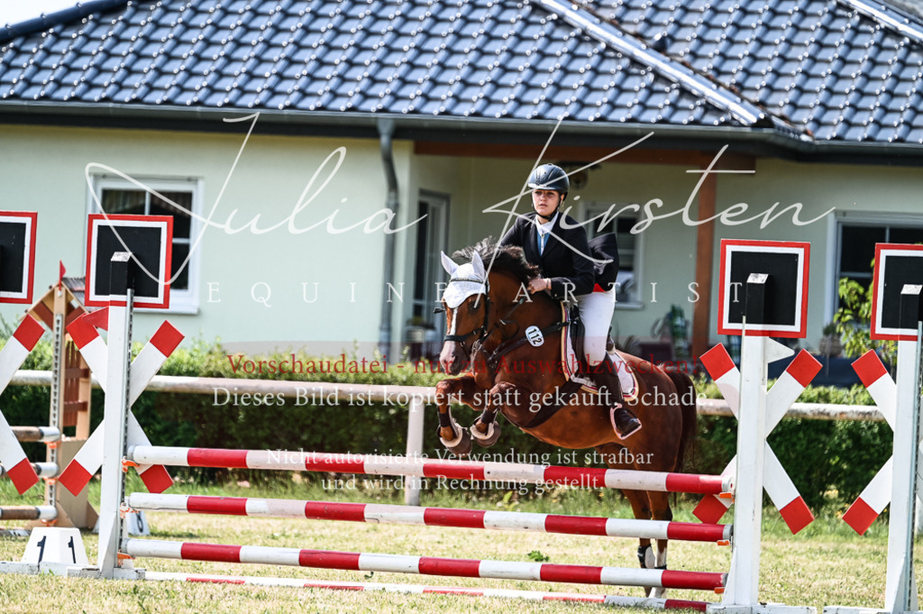 DSC_9446 | Pferde- und Turnierfotografie in Westsachsen. Pferdeportraits, Auftragszeichnungen und intuitive Kunst.