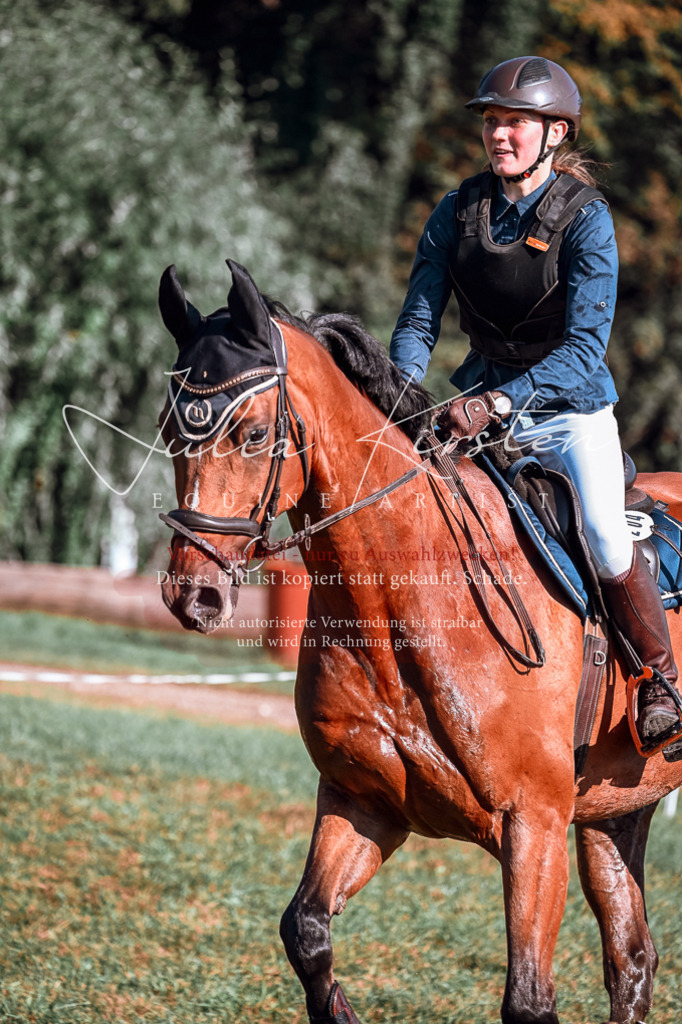 DSC_0574 | Pferde- und Turnierfotografie in Westsachsen. Pferdeportraits, Auftragszeichnungen und intuitive Kunst.