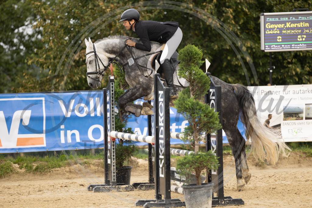 994A7803 | sabrinanicolaifotografie - Realisiert mit Pictrs.com