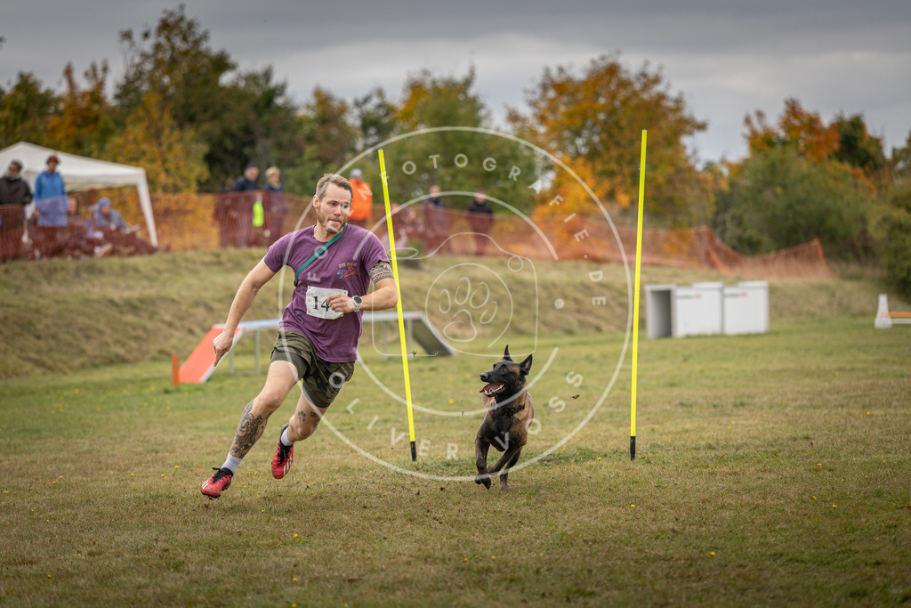 Pfotenfotografie_DV3A8088 | Hundefotografie, Tierfotograf, Pfotenfotografie, Fotoshooting Hund, Hunde Portrait, Hundesport, Hundeportraits, Heideshooting, Hunde, Sportfotograf, Hundefotograf, Turnierhundsport, THS,  - Realisiert mit Pictrs.com
