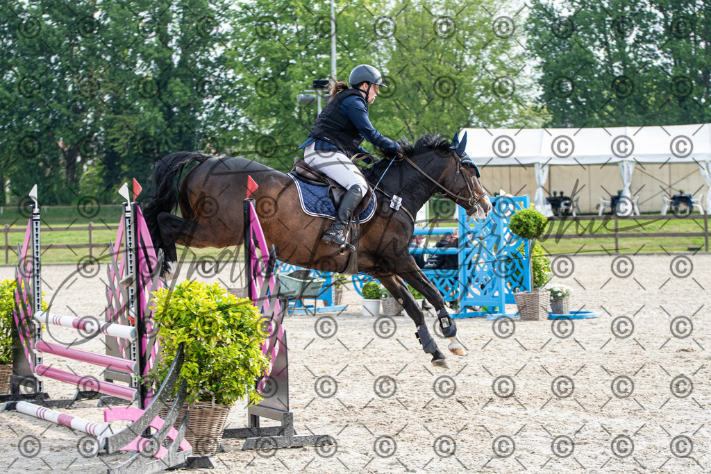 KPT_2024 | andre_photographic