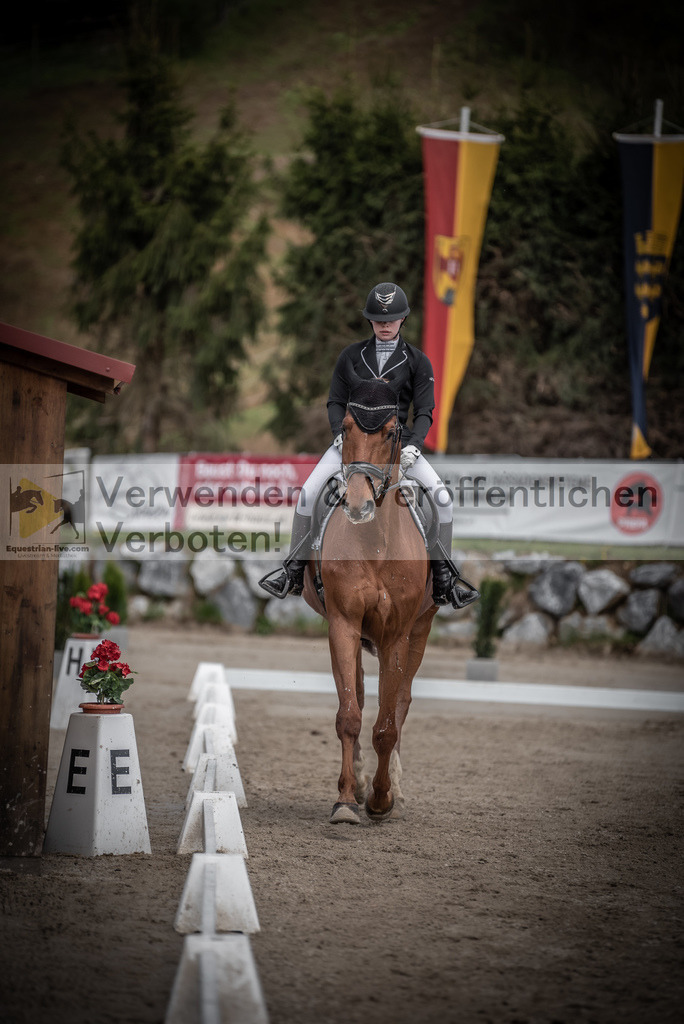 DSC_0774 | equestrian-live-com