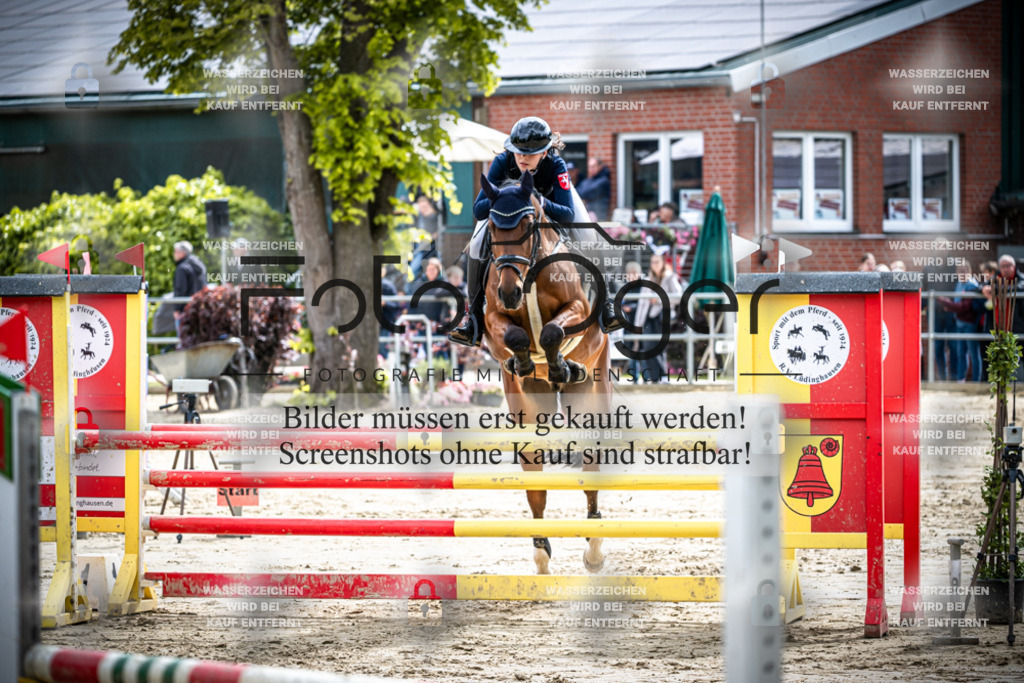 DOS_1474 | Reitturnier Lüdinghausen - Realisiert mit Pictrs.com
