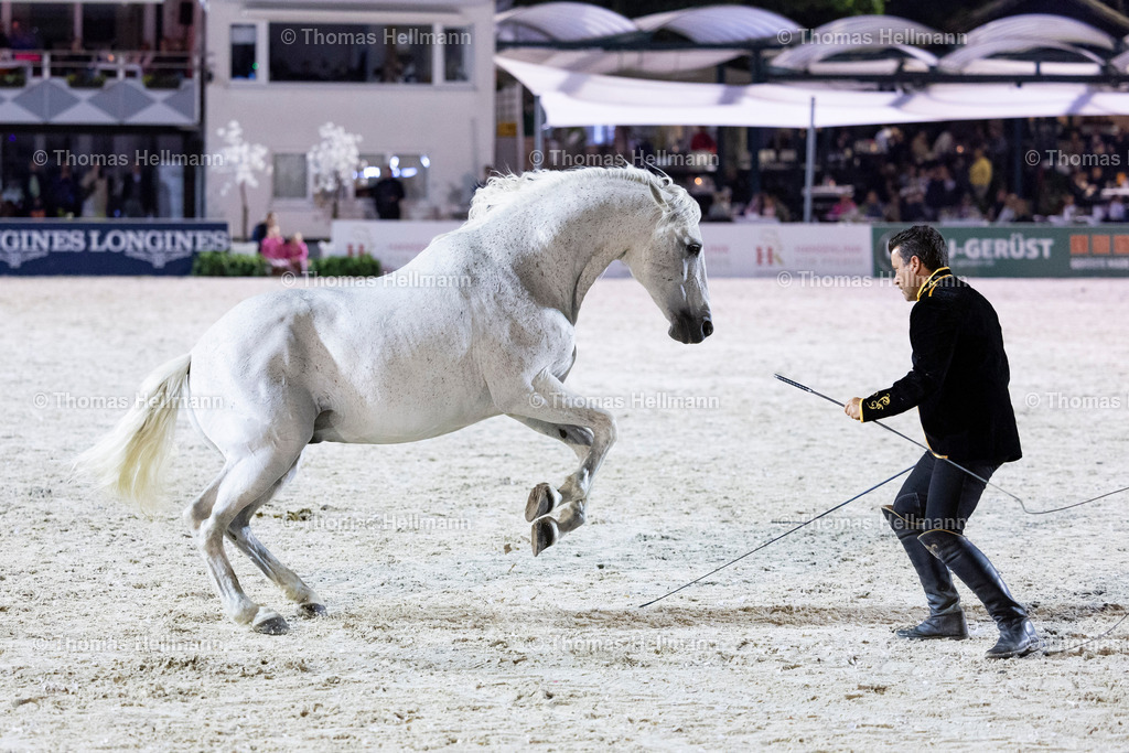 TH_Show_19496 | Longines Balve Optimum 2024 am 08.06.24 in Balve, Schloss Wocklum, Thomas Hellmann, Show