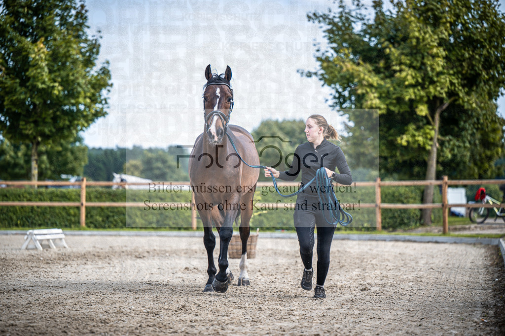 DOS_1864 | Entdecke hochwertige Reitturnierfotos von Foto Oger. Professionell, emotional und authentisch – jetzt Lieblingsmomente im Shop bestellen.Deutschlandweite Turnierfotografie. - Realisiert mit Pictrs.com