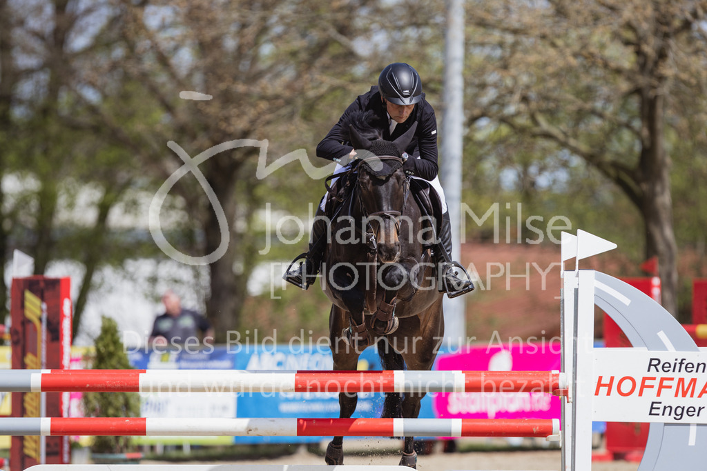 230501_SpengeW_M2St-224 | Deine schönsten Turniermomente als professionelle Fotos! Entdecke hochwertige Pferdesport-Fotografie im Online-Shop. Jetzt Fotos finden & bestellen!