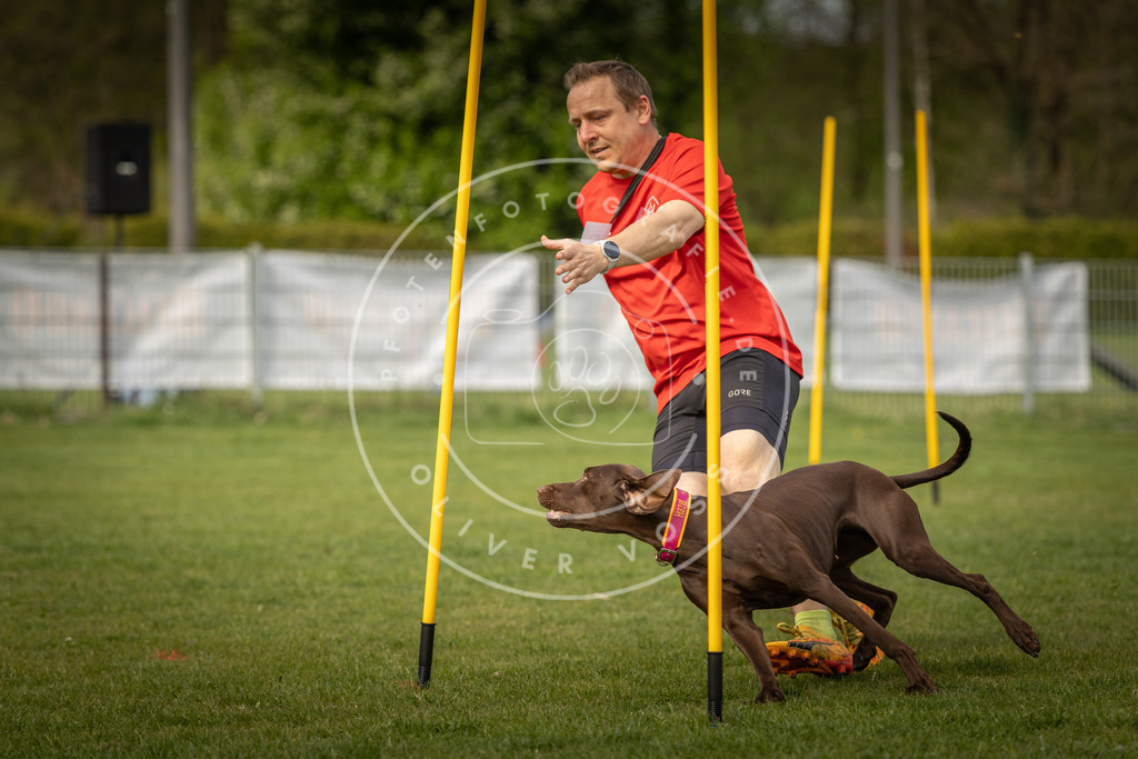 Pfotenfotografie_DV3A5296 | Hundefotografie, Tierfotograf, Pfotenfotografie, Fotoshooting Hund, Hunde Portrait, Hundesport, Hundeportraits, Heideshooting, Hunde, Sportfotograf, Hundefotograf, Turnierhundsport, THS,  - Realisiert mit Pictrs.com