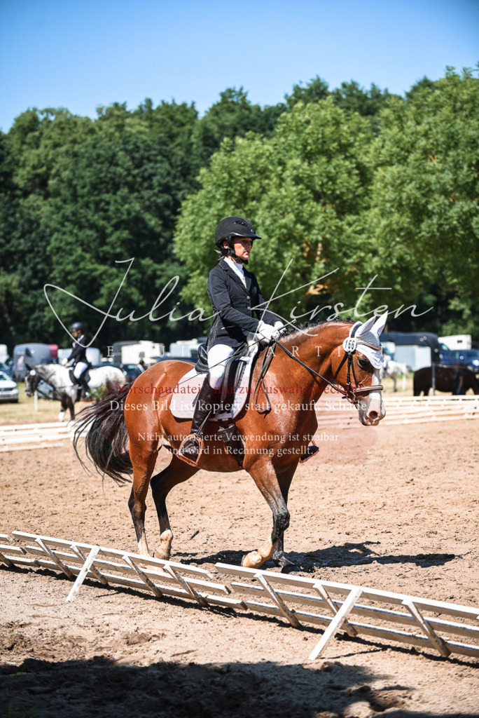 DSC_3156 | Pferde- und Turnierfotografie in Westsachsen. Pferdeportraits, Auftragszeichnungen und intuitive Kunst.