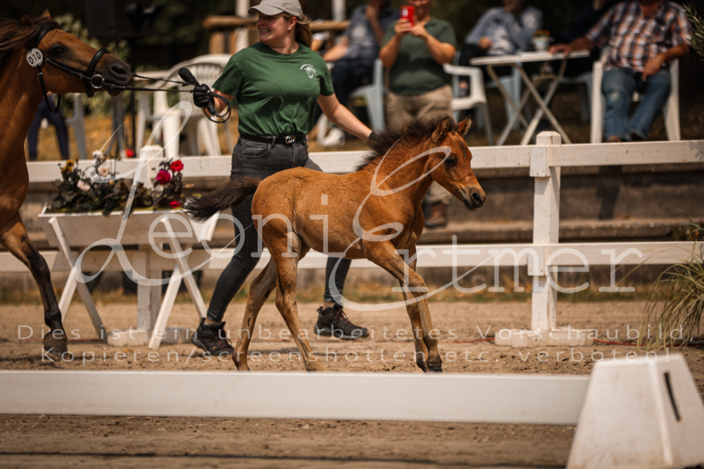 02.DoSR00097 | Leoni Ertmer Photography - Realisiert mit Pictrs.com