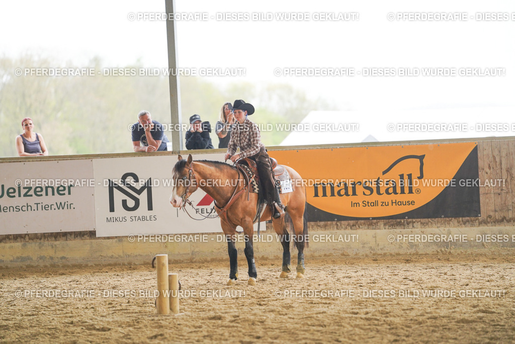 DSC05489 | Pferdegrafie