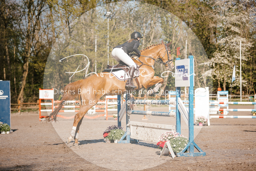 3I6A3612 | Stimmungsvolle Portraits und Reitsportfotografie im Ruhrgebiet und im Münsterland.

Pferdefotografie, Hundefotografie, Tierfotografie, Reportagen, Portraits von Tier und Mensch, Turnierfotografie in Bochum, Recklinghausen, Marl, Haltern am See, Dülmen.. - Realisiert mit Pictrs.com
