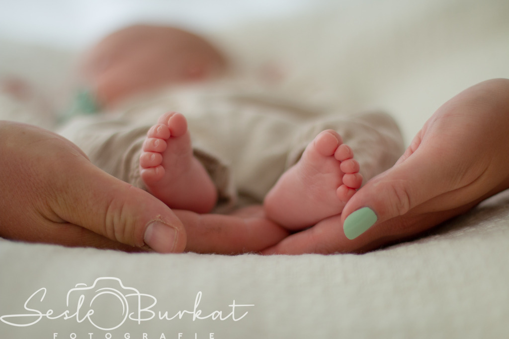 IMG_2253-2 | Authentische, natürliche und emotionale Fotoshootings auf der Nordseeinsel Föhr. Als Fotografin halte ich deine schönsten Momente in einzigartigen Neugeborenen-, Familien-, Paar- und Einzelshootings fest. Jetzt einen Termin vereinbaren!
