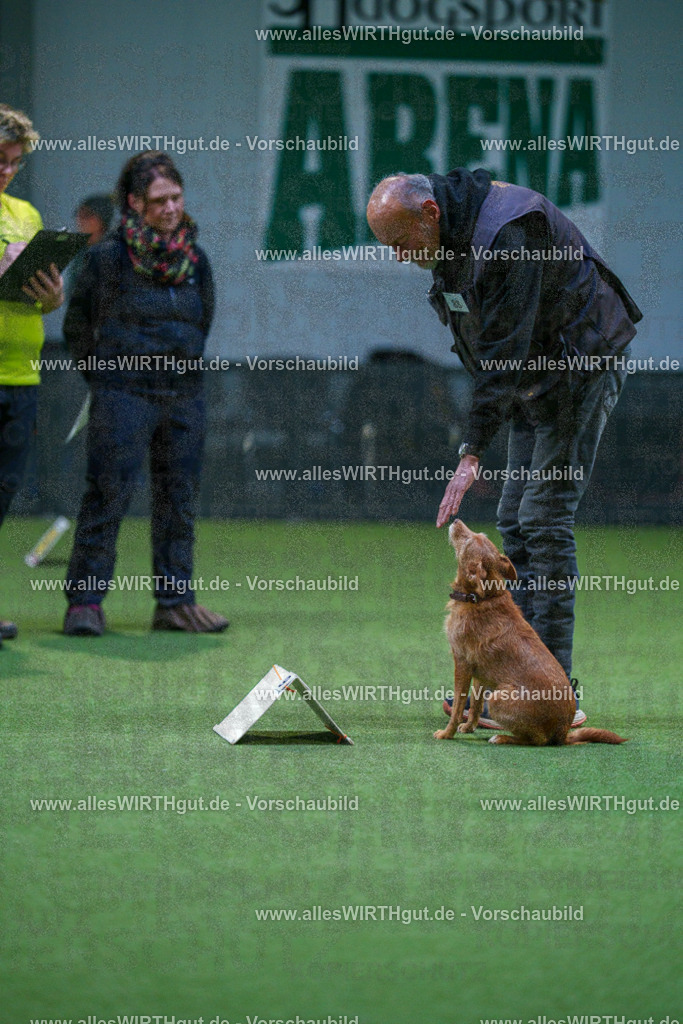 7R502605 | Professionelle Tierfotografie in Mönchengladbach von Daniel Wirth (allesWIRTHgut). Liebevolle & natürliche Bilder von Hunden & Katzen für unvergessliche Erinnerungen.