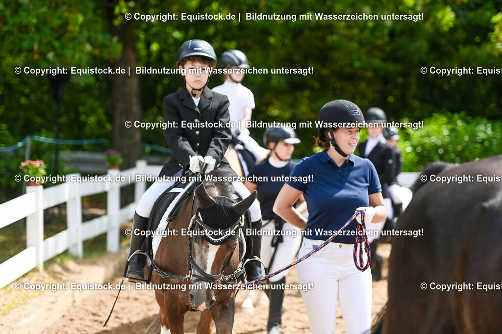20230716_11_Führzügel-WB_0006 | equistock