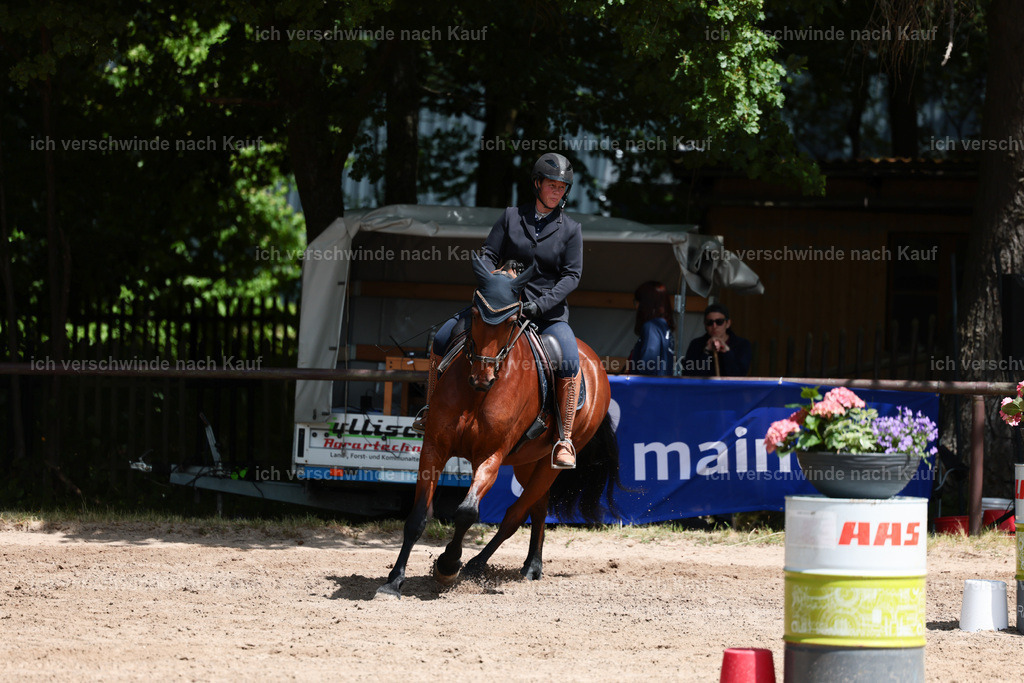 KlasseA_Stoibphotography_C2_L5437.JPG | working equitationturnier fotograf videograf stoibphotography marixx film working equitation deutschland reitsport turnierfotografie eventfotografie equestrian events