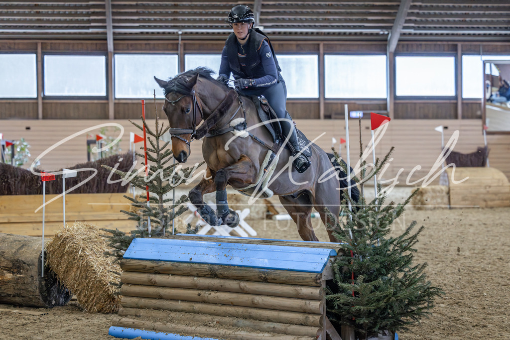20260222-_3LI1895 | Tierfotografie Pferde, Hunde, Katzen, Haustiere.
Turnierfotografie Reitturniere, Reiten, Springreiten, Dressur in Hanau, dem Main-Kinzig-Kreis und dem Rhein-Main- Gebiet um Frankfurt