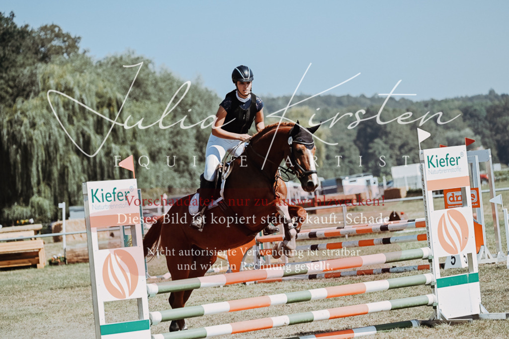 DSC_9693 | Pferde- und Turnierfotografie in Westsachsen. Pferdeportraits, Auftragszeichnungen und intuitive Kunst.