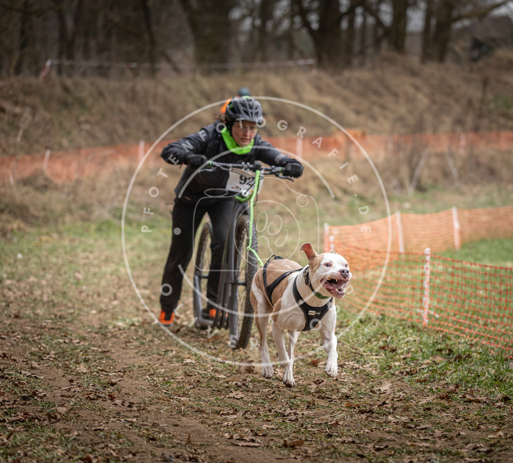 Pfotenfotografie_DV3A6792 | Hundefotografie, Tierfotograf, Pfotenfotografie, Fotoshooting Hund, Hunde Portrait, Hundesport, Hundeportraits, Heideshooting, Hunde, Sportfotograf, Hundefotograf, Turnierhundsport, THS,  - Realisiert mit Pictrs.com