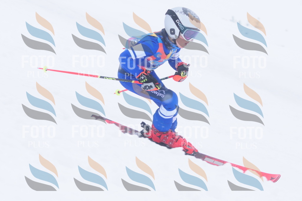 C2180 | holidayphoto