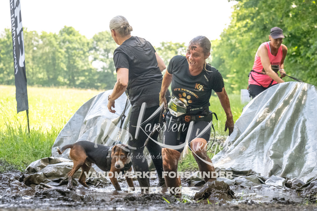 1200_ZZ90874 | kk-dogfotos