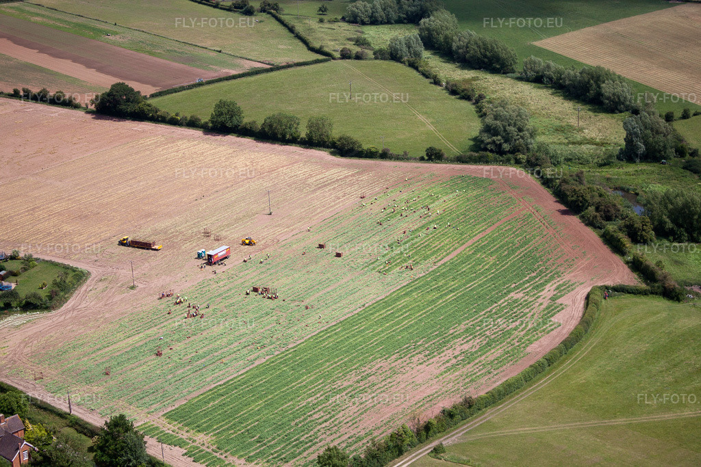 Vue aérienne: Récolte de légumes à Ripple à Ripple dans le département Angleterre, Grande Bretagne – .Photo: IMG_40803(39777).jpg prise le 11/06/2011 par Werner Riehm/FLY-FOTO.eu – Résolution de l'original: 4752 x 3168 px