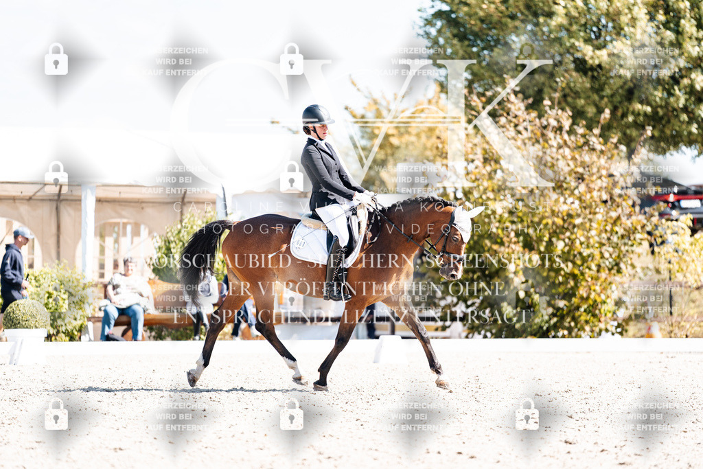 CK903737 | Turnierfotografie Pferdefotografie Trier Rheinland-Pfalz Pferdesport Reitsport Tierfotografie Sportfotografie Pferdevideo Pferdevideografie Equestrianvideography equestrianphotography  - Realisiert mit Pictrs.com