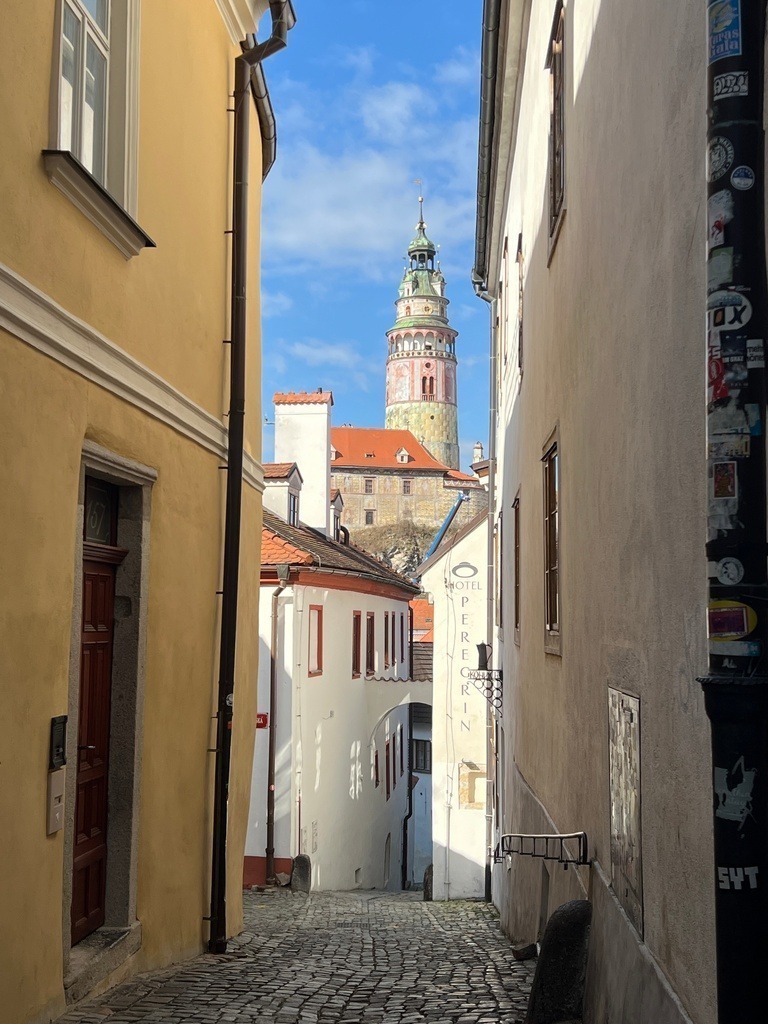 IMG_0708 | ace - Realisiert mit Pictrs.com