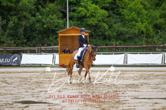 DKP46772 | Turniersportfotografie; Pferdefotografie; Dressurfotografie