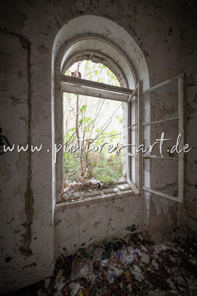 DSC04609 | pictures-art.de