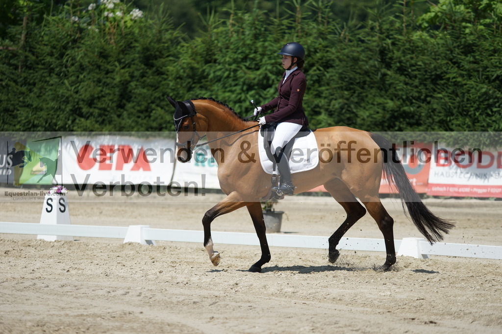 DSC01749 | equestrian-live-com