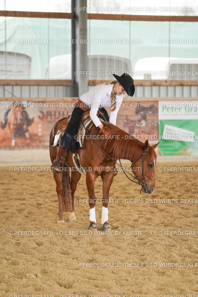 DSC06444 | Pferdegrafie