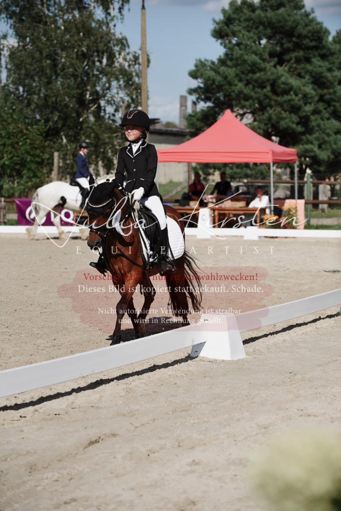 DSC_0227 | Pferde- und Turnierfotografie in Westsachsen. Pferdeportraits, Auftragszeichnungen und intuitive Kunst.