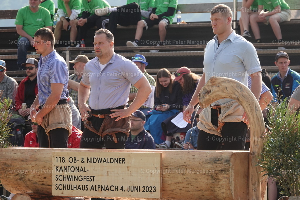 DSC04471 | Schwingen - Realisiert mit Pictrs.com