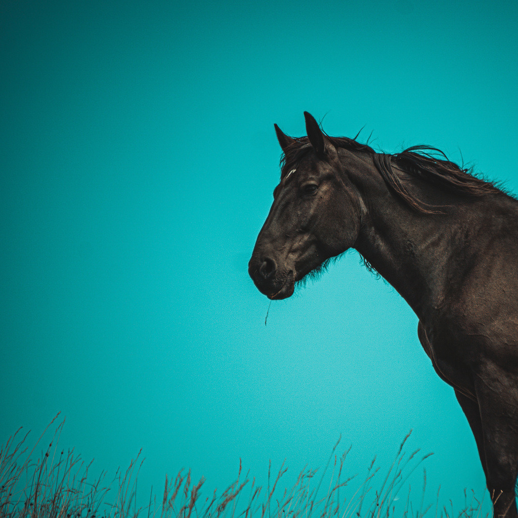 1EBC6A74-F015-4700-848C-AA40AE160D03 | <meta name="keywords" content="Bergbilder, Hochzeitsfotografie, Actionshootings, Fotografiearbeiten, Berglandschaften, Naturfotografie">

 - Realisiert mit Pictrs.com