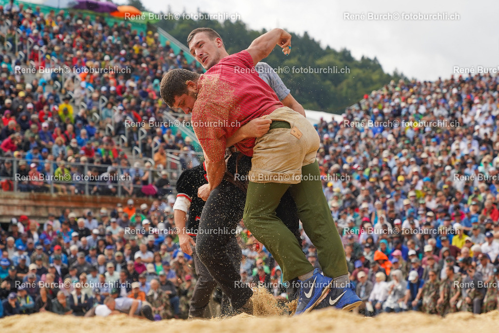 DSC00842 | René Burch leidenschaftlicher Fotograf aus Kerns in Obwalden.  Hier finden sie Sport, Landschaft und Natur Fotografie.
 - Realisiert mit Pictrs.com