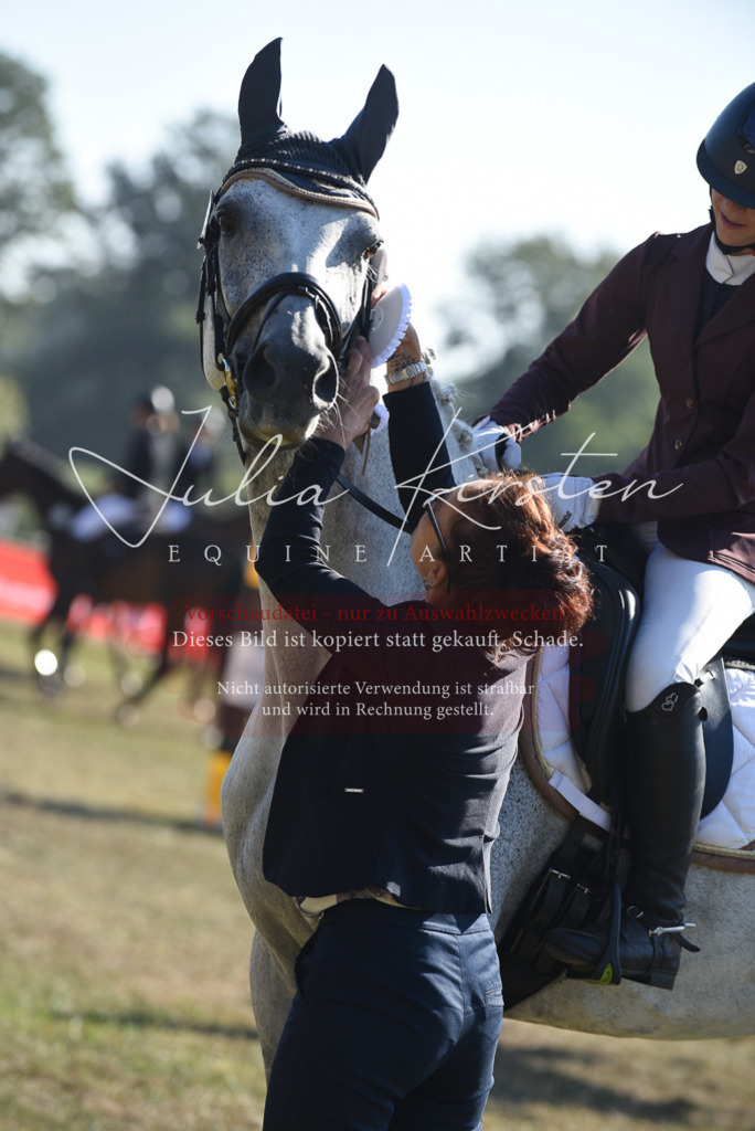DSC_5441 | Pferde- und Turnierfotografie in Westsachsen. Pferdeportraits, Auftragszeichnungen und intuitive Kunst.