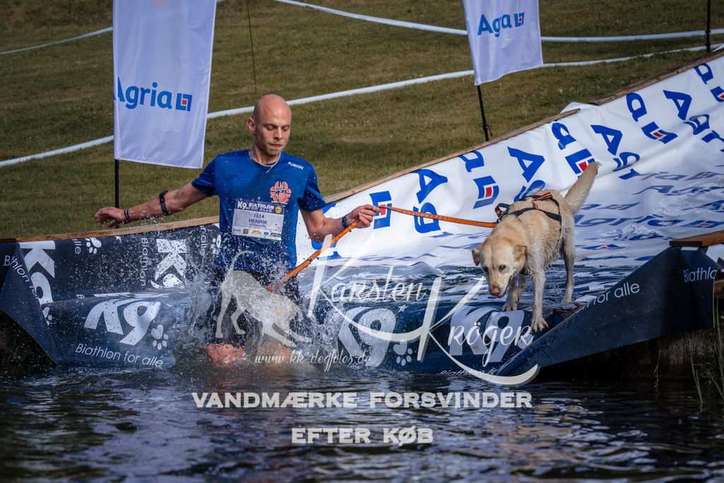 _ZZ944790716 | kk-dogfotos