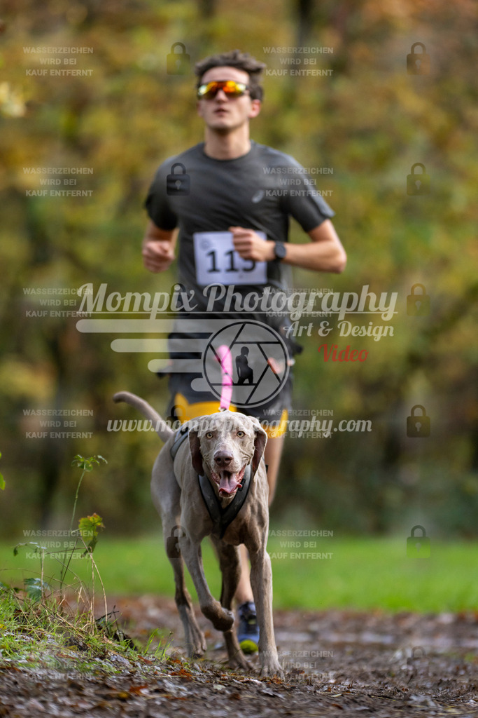 MompixPhotography_Bischwiller23_Canicross-91 | PayLife