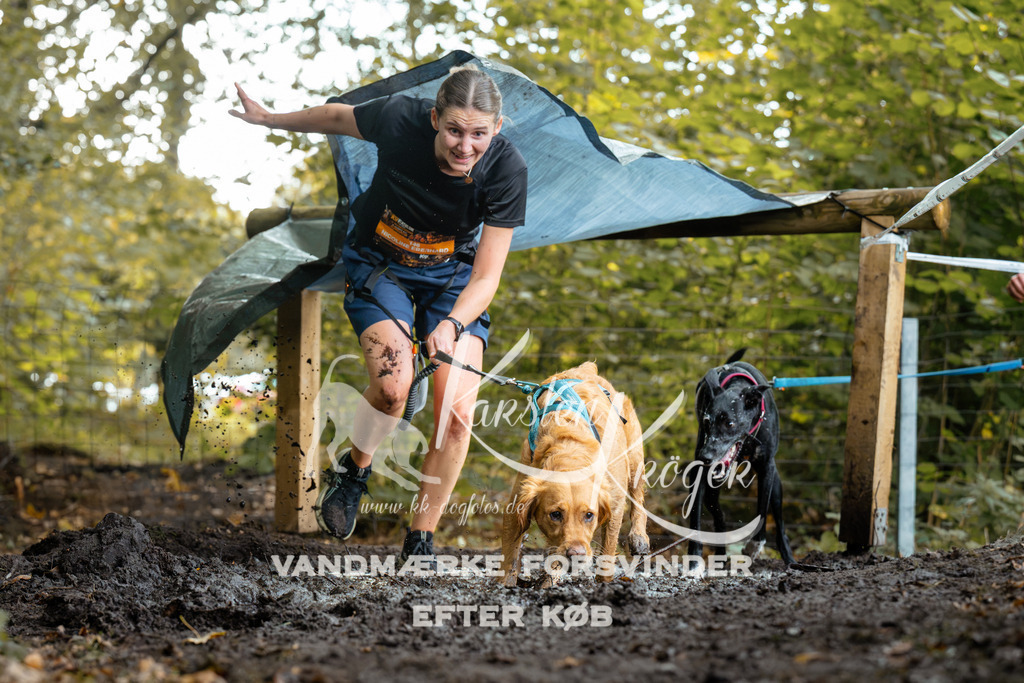 1410DZ6_1148Z6 | kk-dogfotos