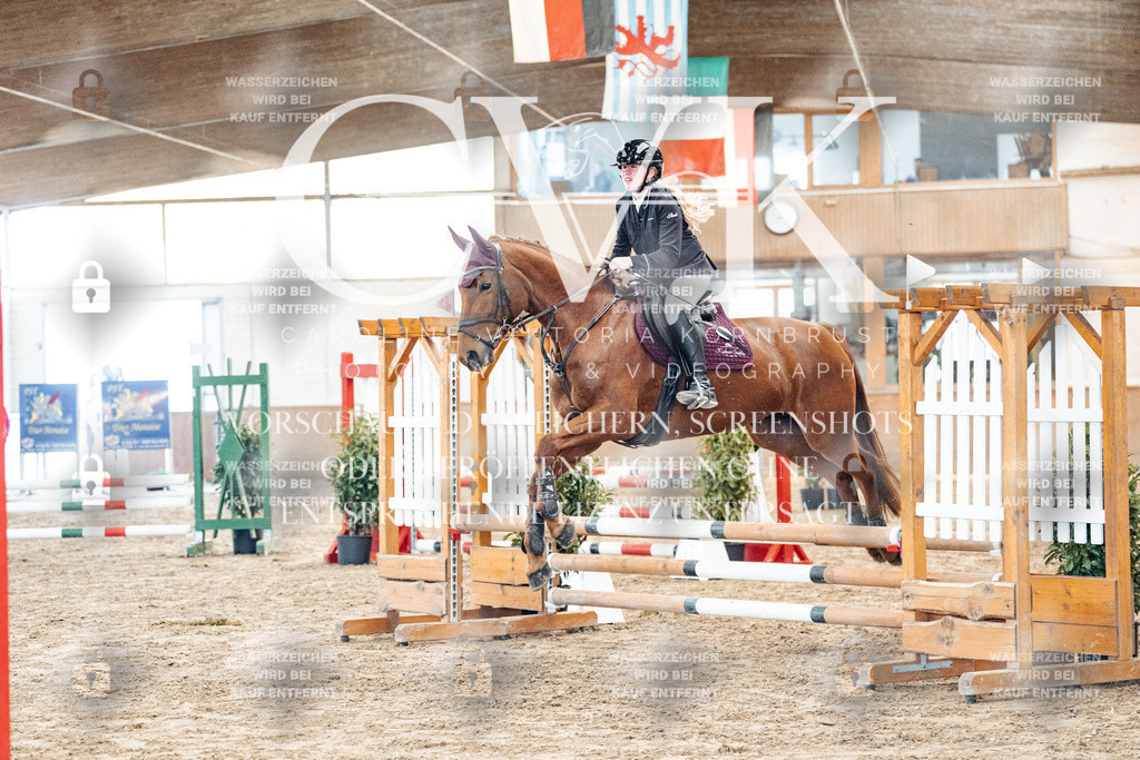 CK903840 | Turnierfotografie Pferdefotografie Trier Rheinland-Pfalz Pferdesport Reitsport Tierfotografie Sportfotografie Pferdevideo Pferdevideografie Equestrianvideography equestrianphotography  - Realisiert mit Pictrs.com