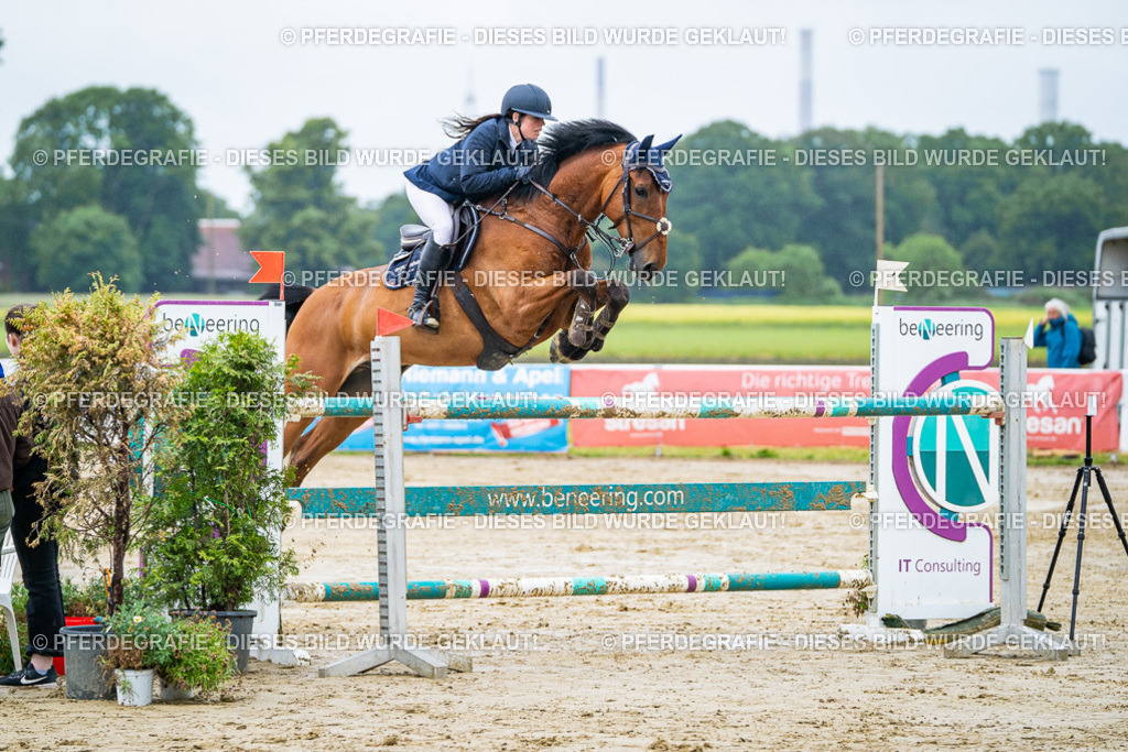 DSC03617 | Pferdegrafie