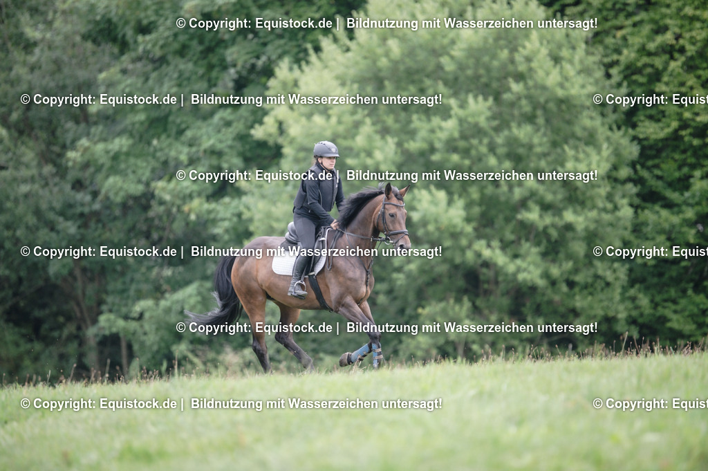 20250726_Vielseitigkeitslehrgang-Marbach_0449 | Foto: Thomas Hartig