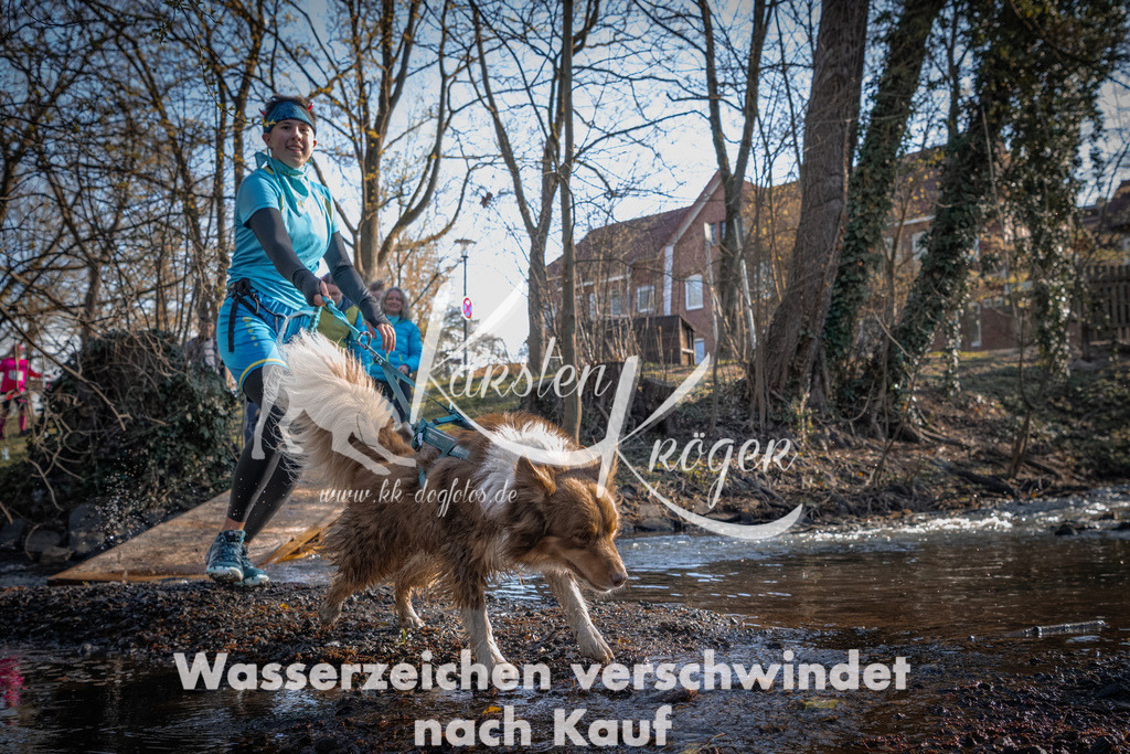 0828_ZZ91166 | kk-dogfotos