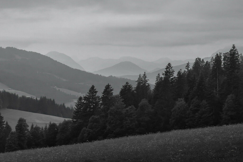 _W5A1396-Bearbeitet | Sich an die einzigartigen Momente der Natur und Landschaft sowie die Begegnung mit heimischen wilden Tieren zu erinnern, dies kann man anhand den Bilder der Natur und Landschaftsfotografin Sandra Eimermacher.  - Realisiert mit Pictrs.com