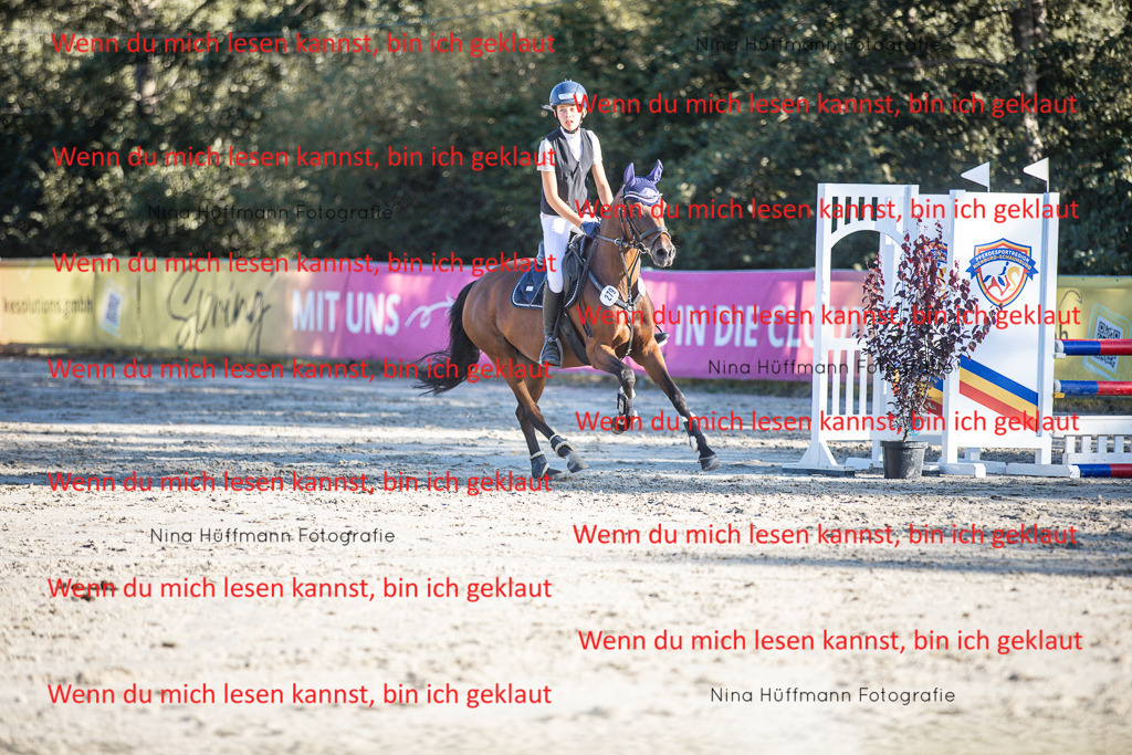 BK1A7887 | Turnierbilder Turnierfotos Nina Hüffmann Turnierfotografie Pferdefotografie Tierzeichnung Haustierzeichnung Pferdezeichnung Hundezeichnung Videograf  - Realisiert mit Pictrs.com