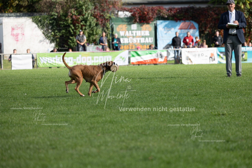 _16A5609 | Einzigartige Fotos von Hunden & Menschen –Actionfotos, Portraits, Vereinsaufnahmen & Paarshootings – authentisch, lebendig & mit Herz.
